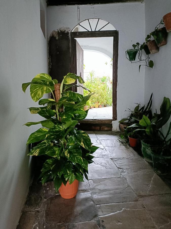 Casa Amalfi, Coqueta Casa Centro Historico De Vejer Daire Vejer de la Frontera Dış mekan fotoğraf