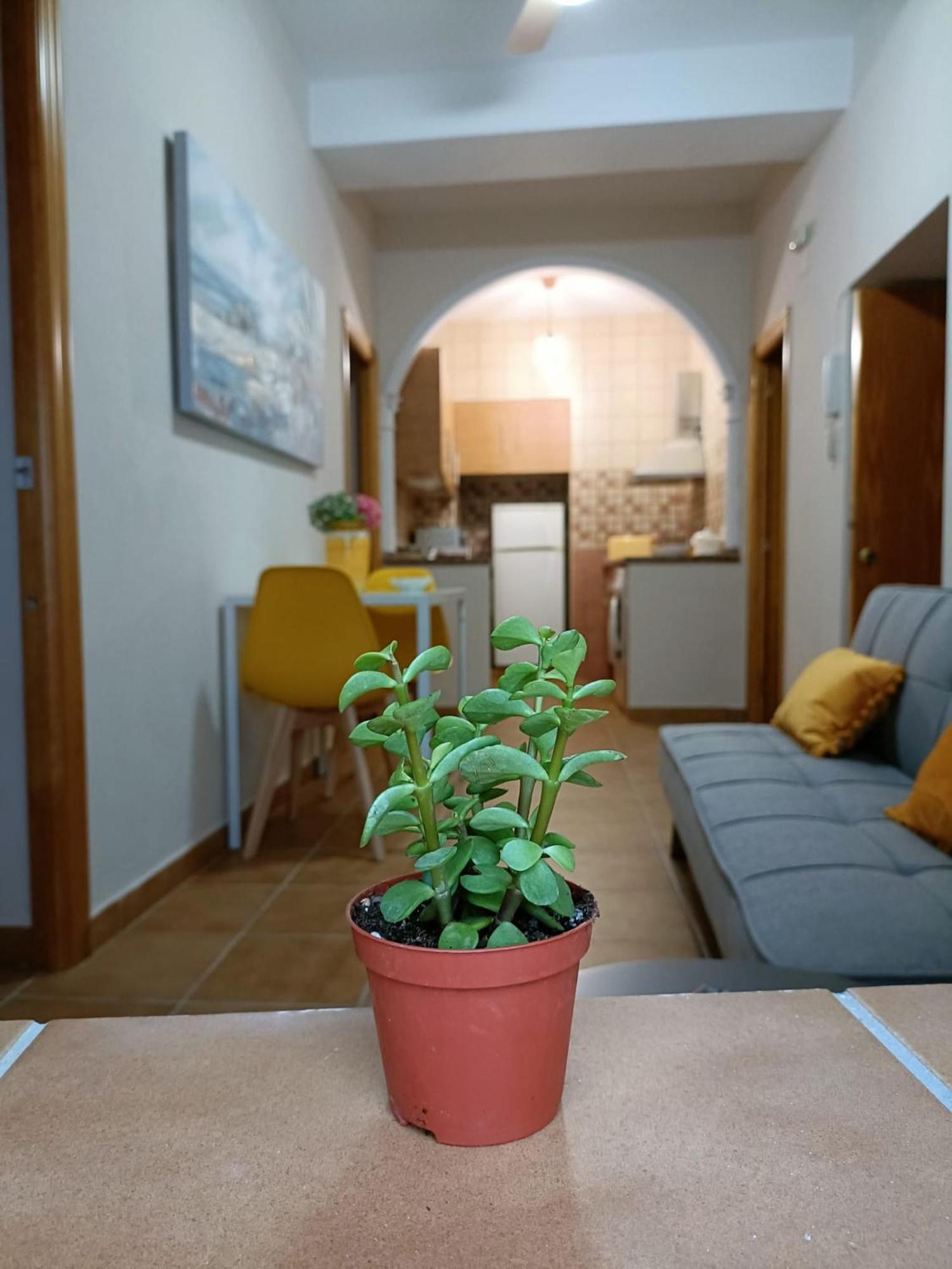 Casa Amalfi, Coqueta Casa Centro Historico De Vejer Daire Vejer de la Frontera Dış mekan fotoğraf